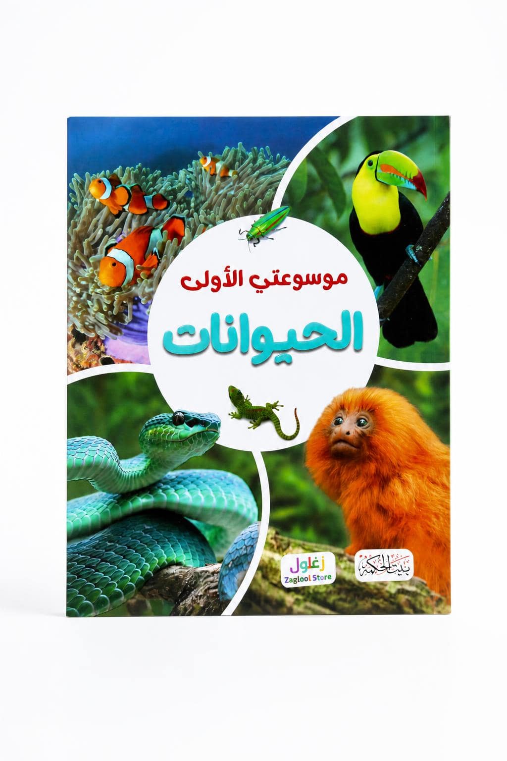 0b106731-48f9-4759-ade8-0ef0415e1cd1.jpg موسوعتي الأولى عن الحيوانات من دار النخبة - 6371 - الصورة 1