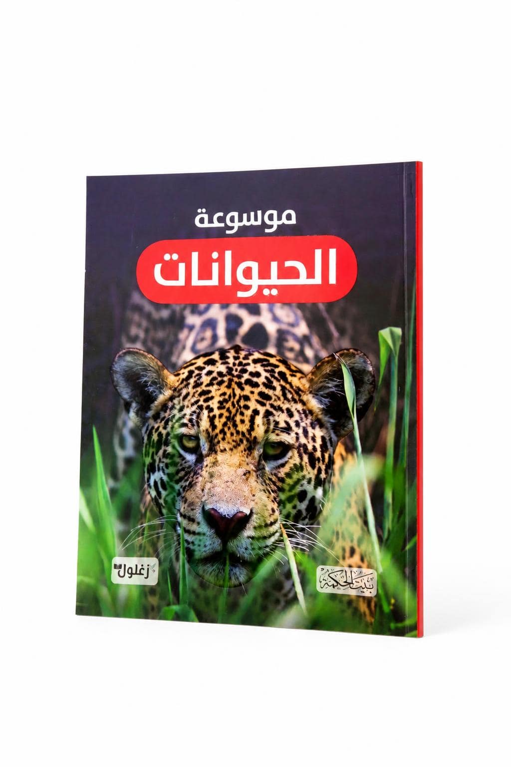 0ddedf83-fc37-45c5-9e9b-32d27a24dce2.jpg موسوعة الحيوانات التعليمية المصورة - موديل 6363 - الصورة 1