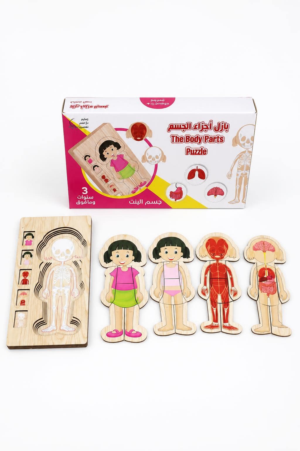 3da3d03d-5ca1-4d58-9d69-9b594092da13-1.jpg بزل أجزاء الجسم وسائل دار النخبة التعليمية جسم البنت موديل 591 - الصورة 1