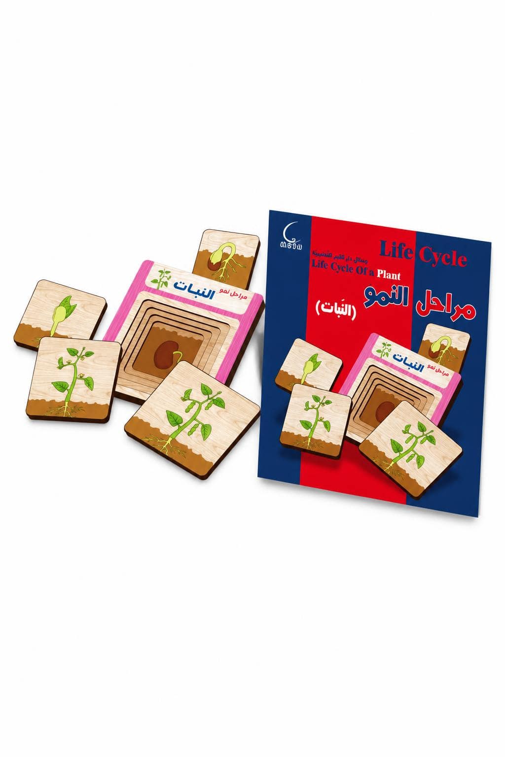65b4b072-4327-47a0-b6f1-bf4fea47ae50.jpg لعبة تعليمية خشبية مراحل نمو النبات 20001 موديل 562 - الصورة 1