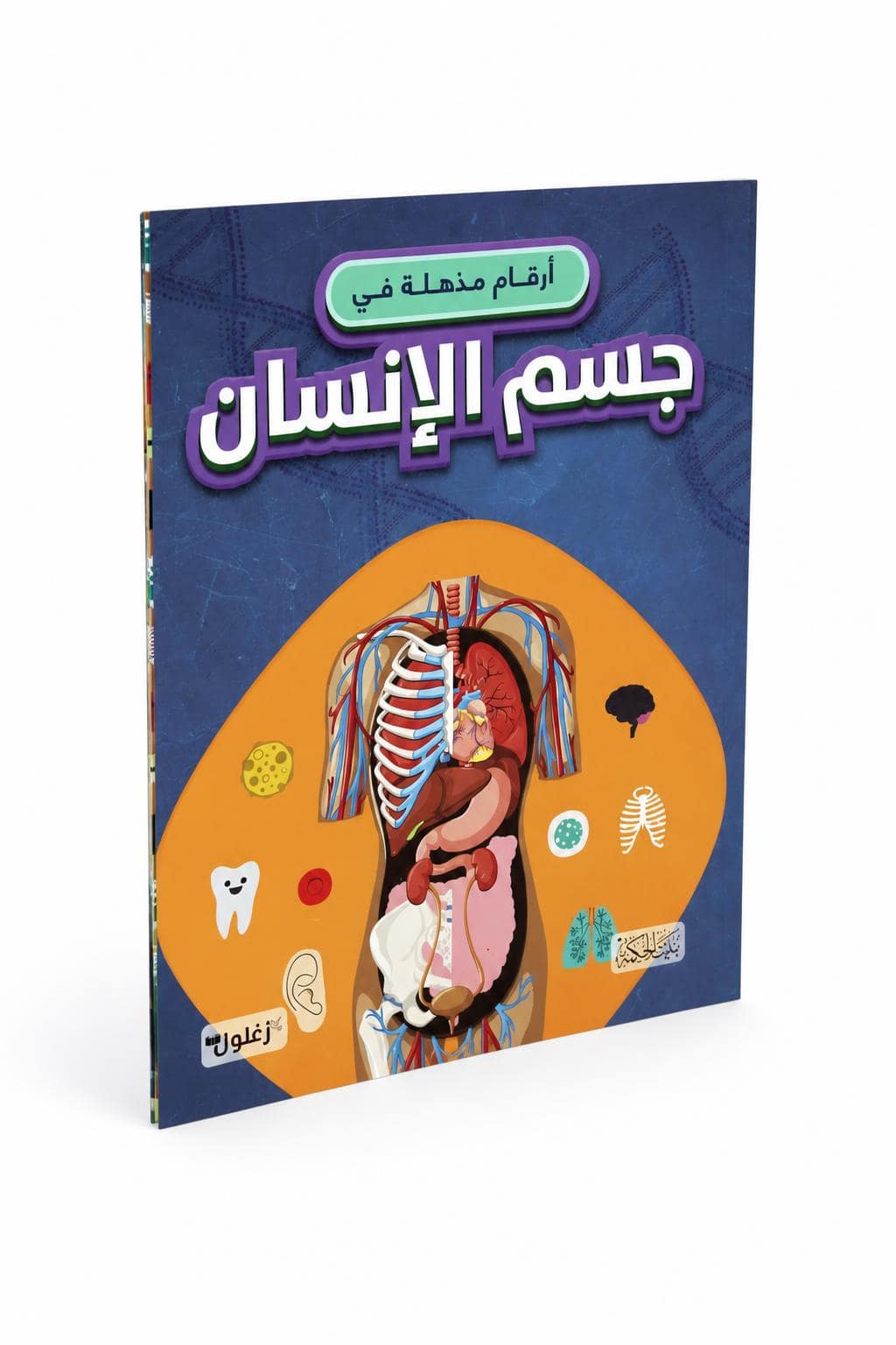 7f7bf427-aa3a-4ece-ba41-063ef361d3e6.jpg كتاب أرقام مذهلة في جسم الإنسان - منشورات بيت الحكمة 12264 - الصورة 1