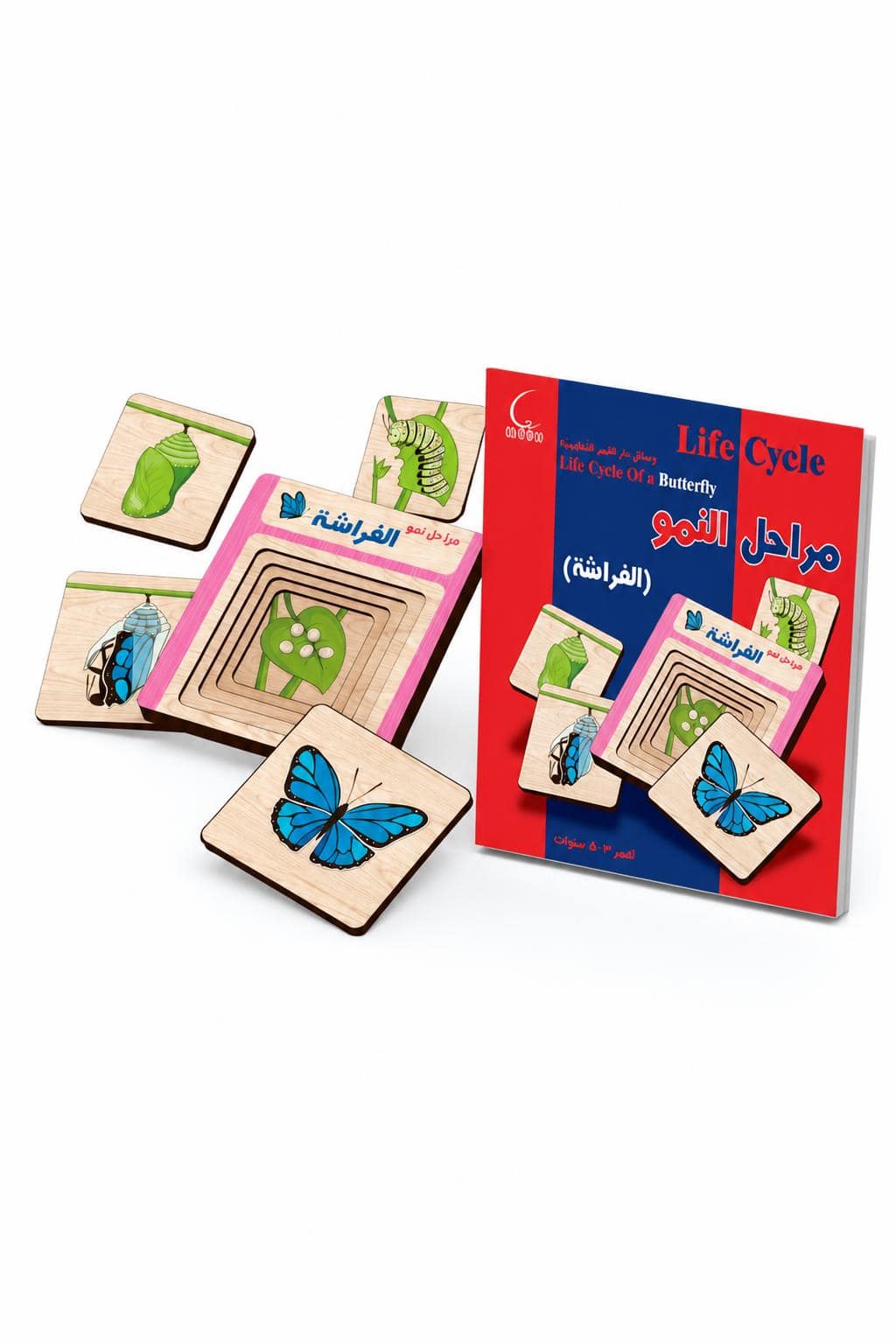 807ae097-2b76-48f2-9619-fd2b3f31633f.jpg لعبة مراحل نمو الفراشة الخشبية للأطفال 3-5 سنوات - موديل 563 - الصورة 1