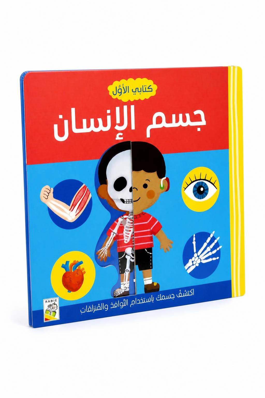 8c91d279-aa8e-481d-b590-5df3ef4f7368.jpg كتابي الأول عن جسم الإنسان من دار ربيع - موديل 10451 - الصورة 1