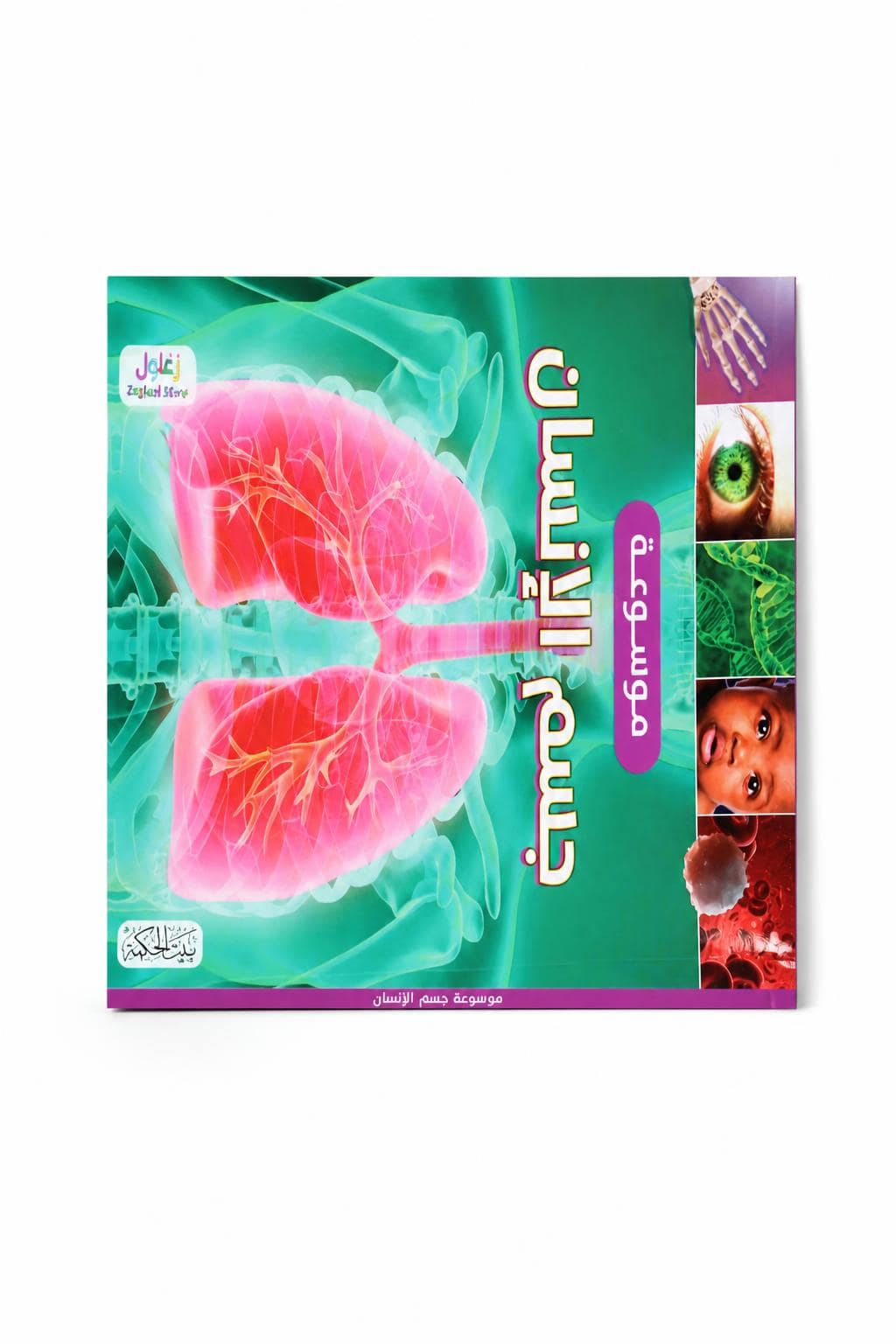 90b7bb31-be7a-46a6-9a07-dc00b9ad9dce.jpg موسوعة جسم الإنسان التعليمية المصورة بالعربية - موديل 6362 - الصورة 1