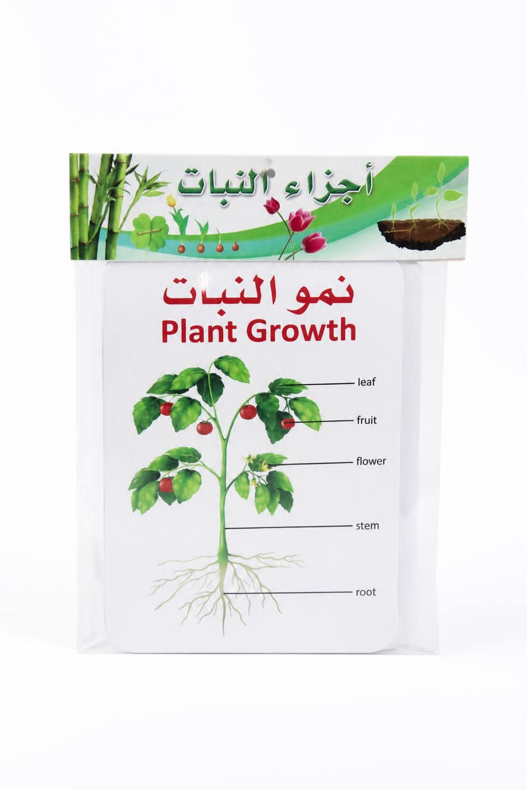 7ba0cc28-6688-448f-a27d-7d5cb746b3c2-1.jpg بطاقات تعليمية لأجزاء النبات 9 بطاقات - موديل 7545928 - الصورة 1